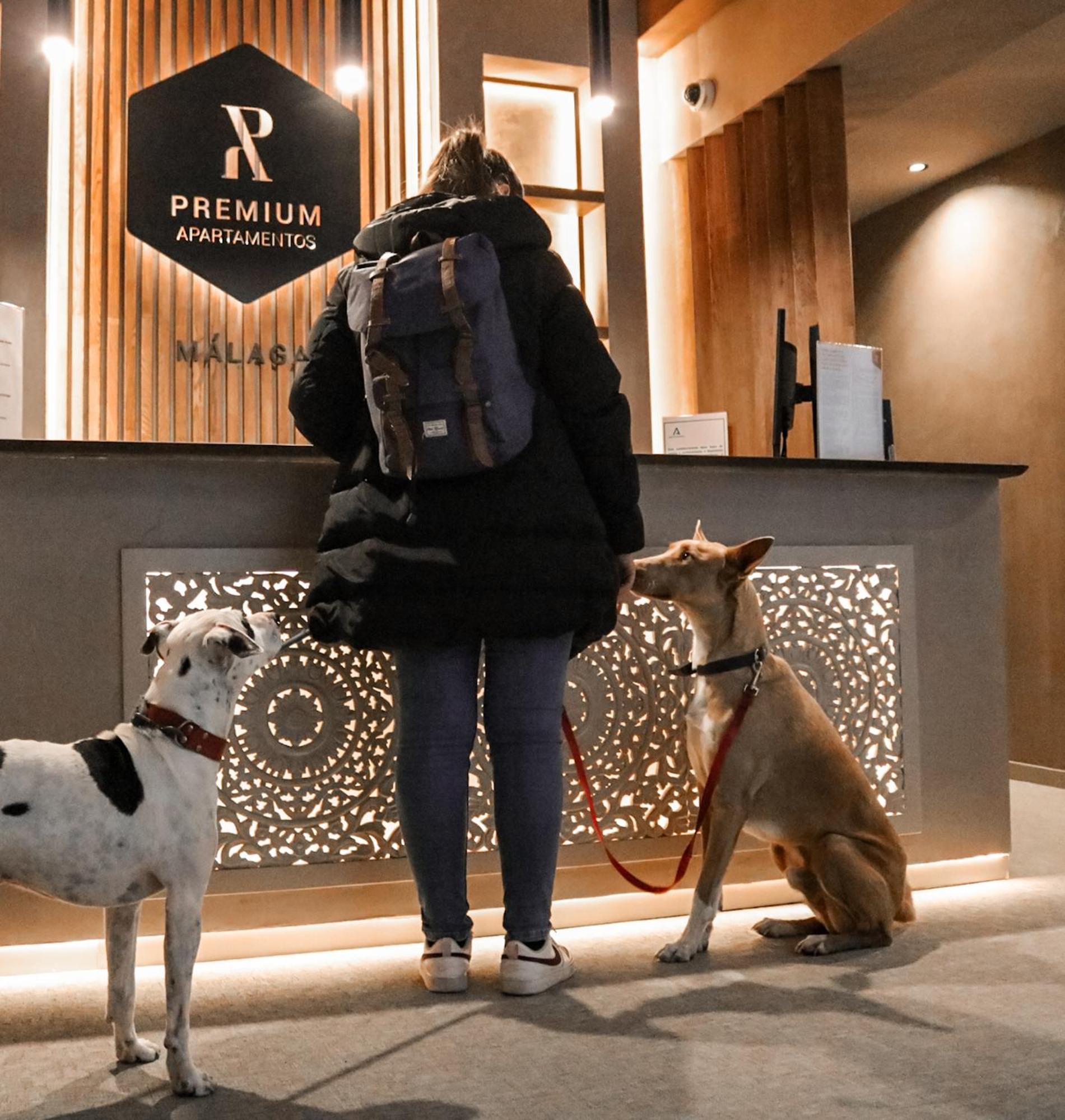 Apartamentos Malaga Premium - Calle Granada Luaran gambar